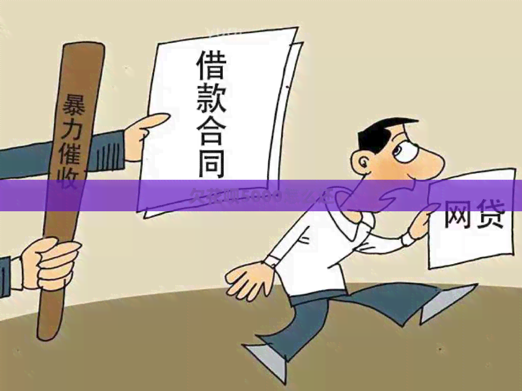 欠白条5000怎么还