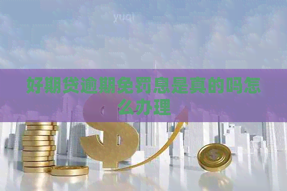 好期贷逾期免罚息是真的吗怎么办理