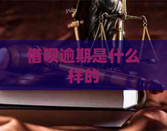 信用卡逾期是什么样的
