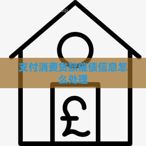 支付消费贷款催债信息怎么处理