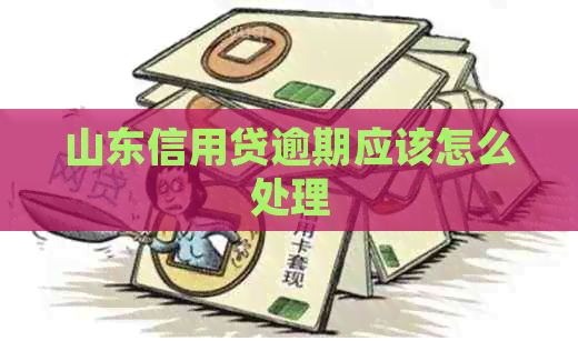 山东信用贷逾期应该怎么处理