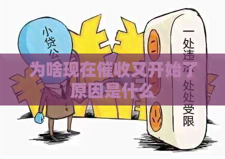 为啥现在又开始了原因是什么