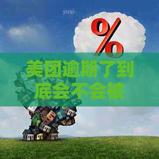 美团逾期了到底会不会被起诉