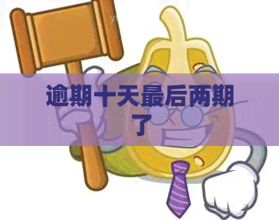 逾期十天最后两期了