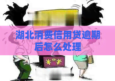 湖北消费信用贷逾期后怎么处理
