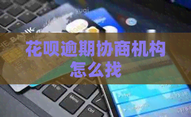 白条逾期协商机构怎么找
