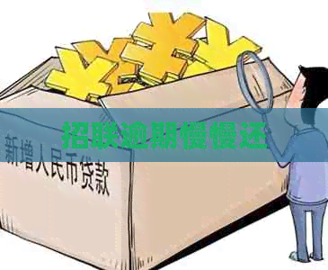 招联逾期慢慢还