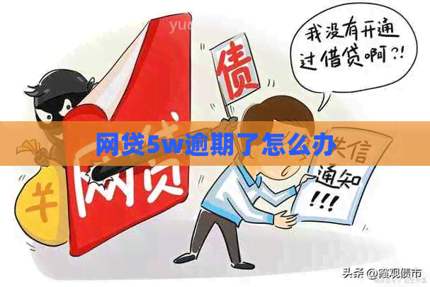 网贷5w逾期了怎么办