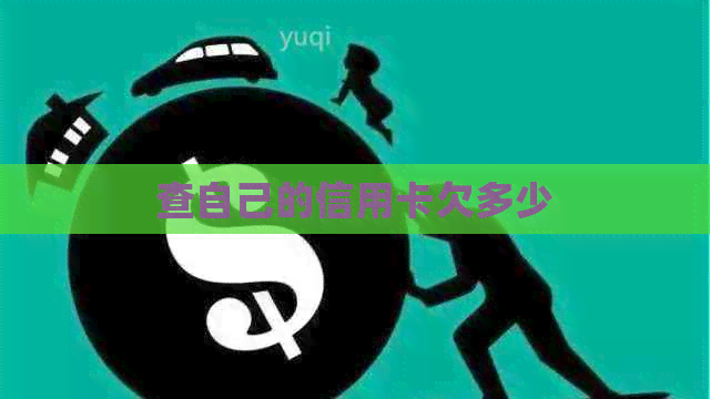 查自己的信用卡欠多少