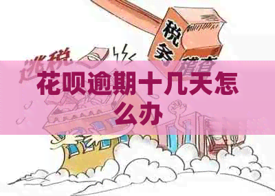 白条逾期十几天怎么办