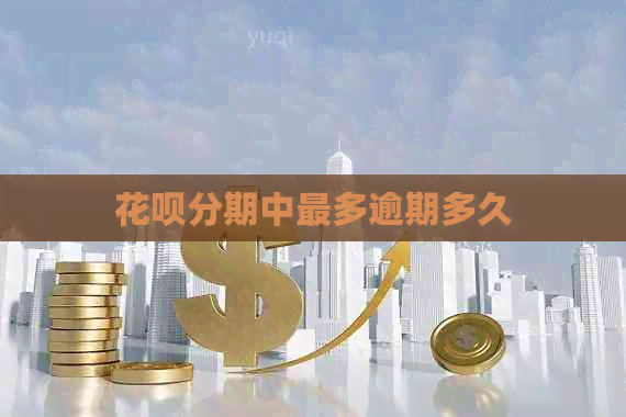 白条分期中最多逾期多久