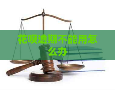 白条逾期不能用怎么办