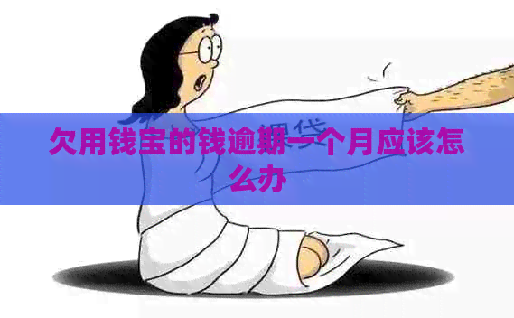 欠用钱宝的钱逾期一个月应该怎么办