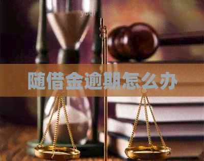 随借金逾期怎么办