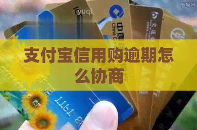 信用卡信用购逾期怎么协商