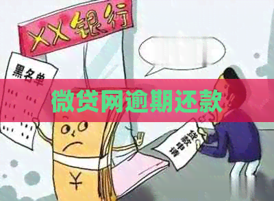 微贷网逾期还款