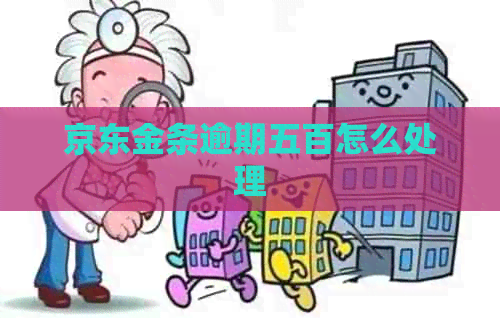京东金条逾期五百怎么处理