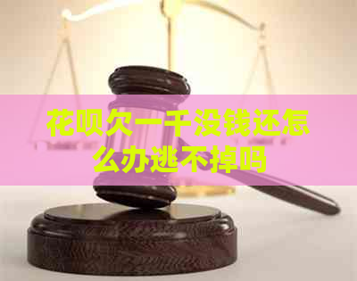 白条欠一千没钱还怎么办逃不掉吗