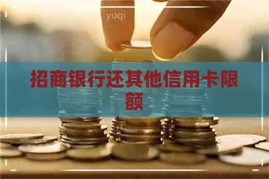 招商银行还其他信用卡限额