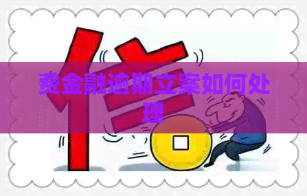 费金融逾期立案如何处理
