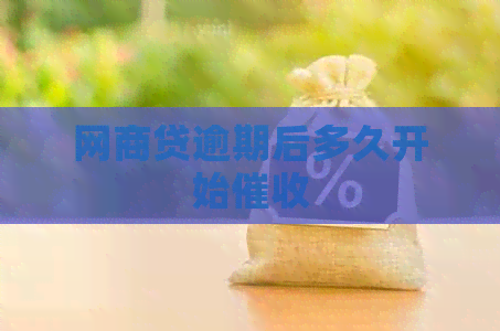 白条贷逾期后多久开始 白条贷逾期后多久开始