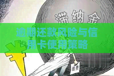 逾期还款风险与信用卡使用策略