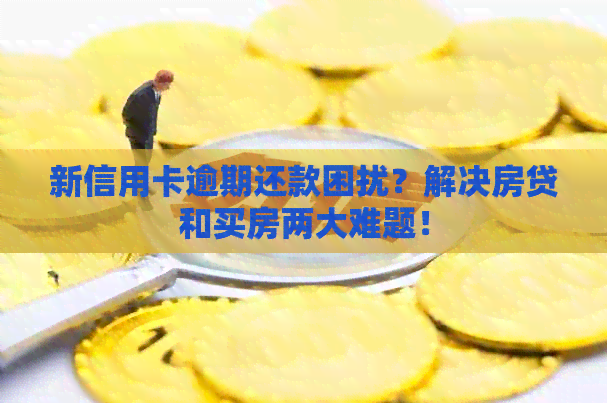 新信用卡逾期还款困扰？解决房贷和买房两大难题！