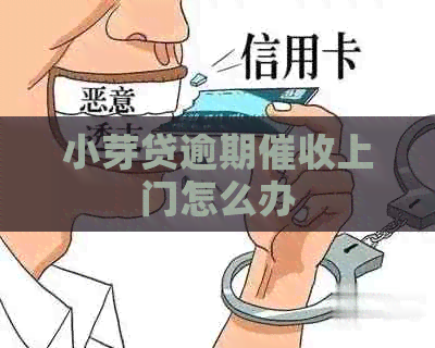 小芽贷逾期上门怎么办