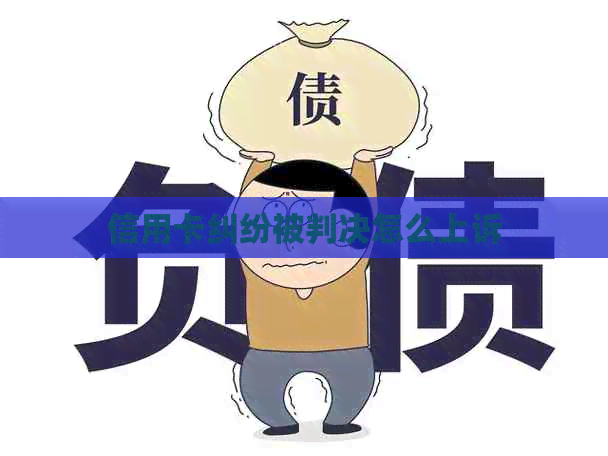 信用卡纠纷被判决怎么上诉