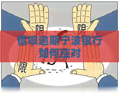信用卡逾期宁波银行如何应对