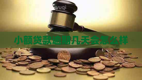 小额贷款逾期几天会怎么样