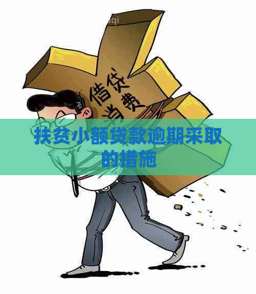 扶贫小额贷款逾期采取的措施