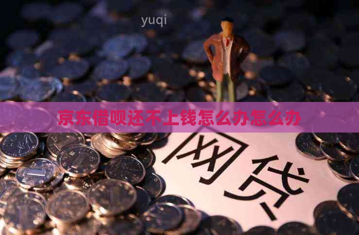 京东借呗还不上钱怎么办怎么办