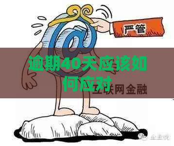 逾期40天应该如何应对