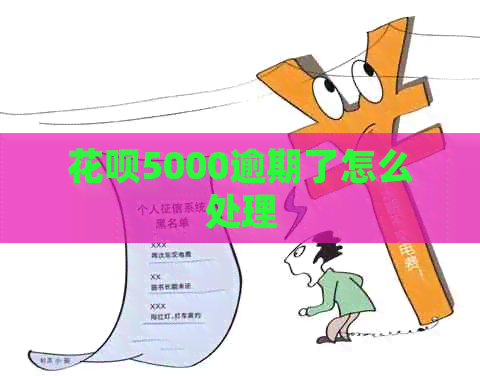 白条5000逾期了怎么处理