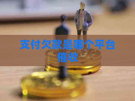 支付欠款是哪个平台