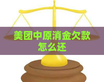 美团中原消金欠款怎么还
