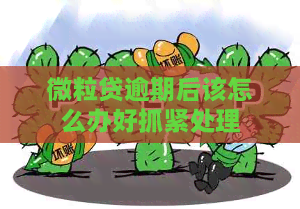微粒贷逾期后该怎么办好抓紧处理