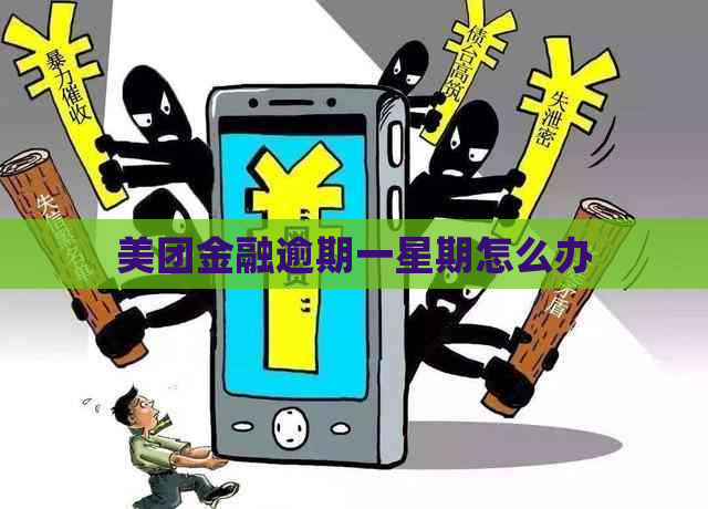 美团金融逾期一星期怎么办