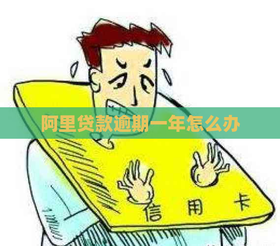 阿里贷款逾期一年怎么办