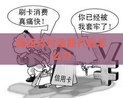 美团月付逾期开庭怎么办