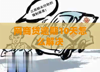 白条贷逾期10天怎么解决