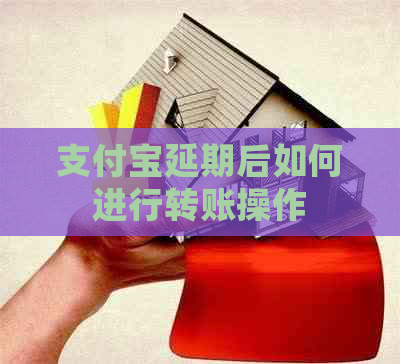 支付宝延期后如何进行转账操作