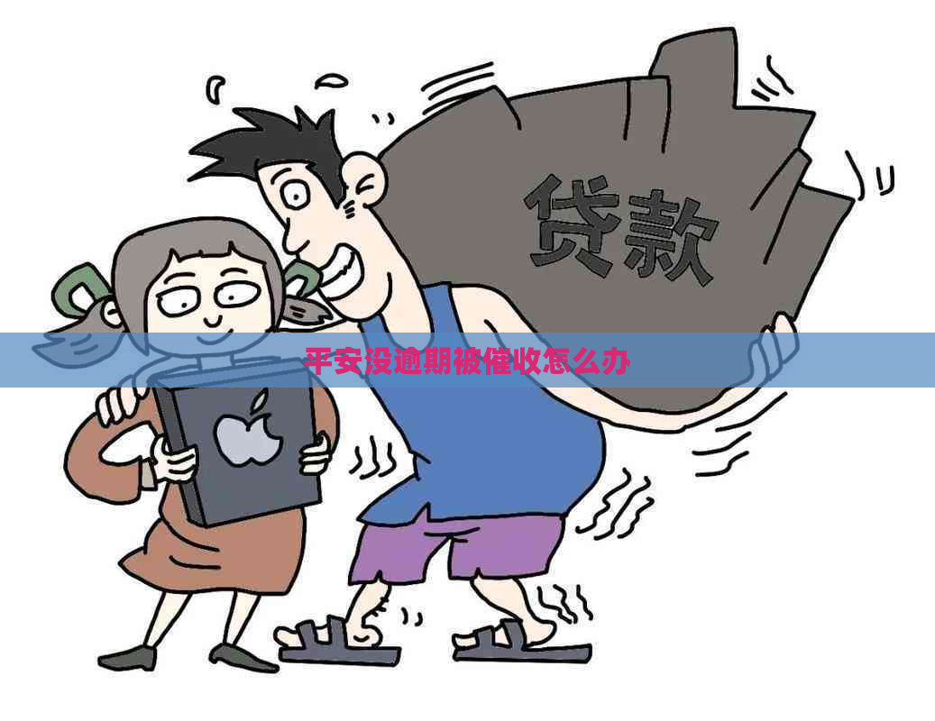 平安没逾期被怎么办