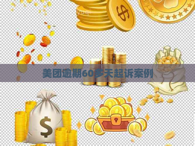 美团逾期60多天起诉案例