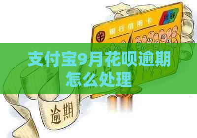 支付宝9月花呗逾期怎么处理