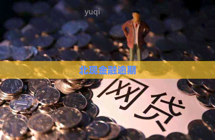 北现金融逾期