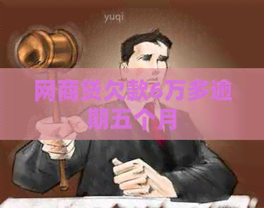 白条贷欠款6万多逾期五个月