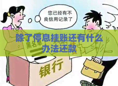 除了停息挂账还有什么办法还款