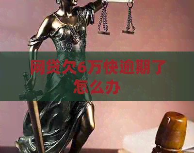 网贷欠6万快逾期了怎么办